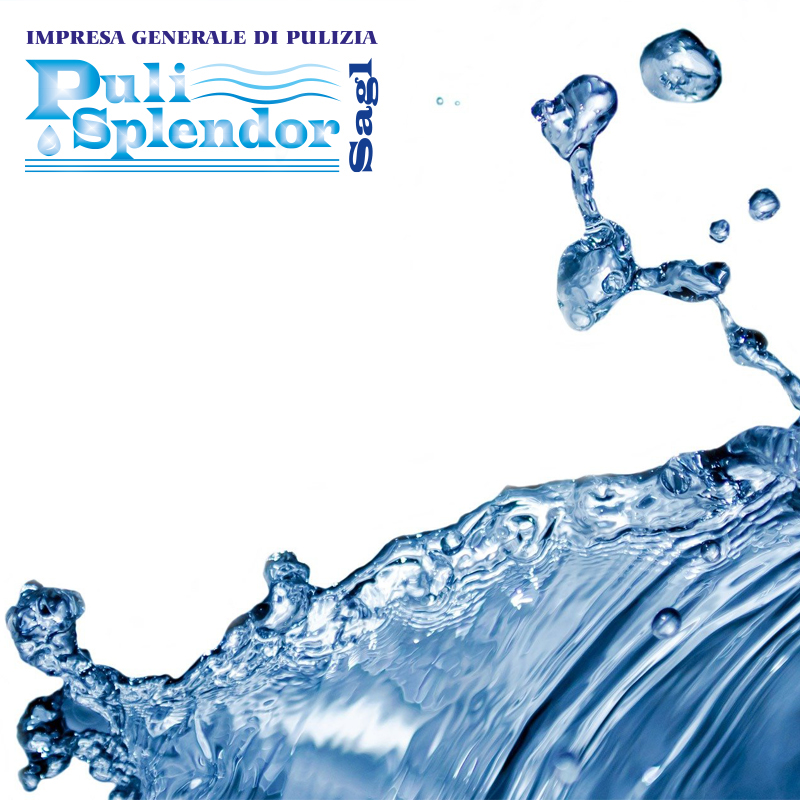 PULISPLENDOR masthead